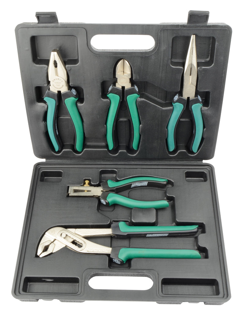 5 pcs. Set of pliers in carrying case