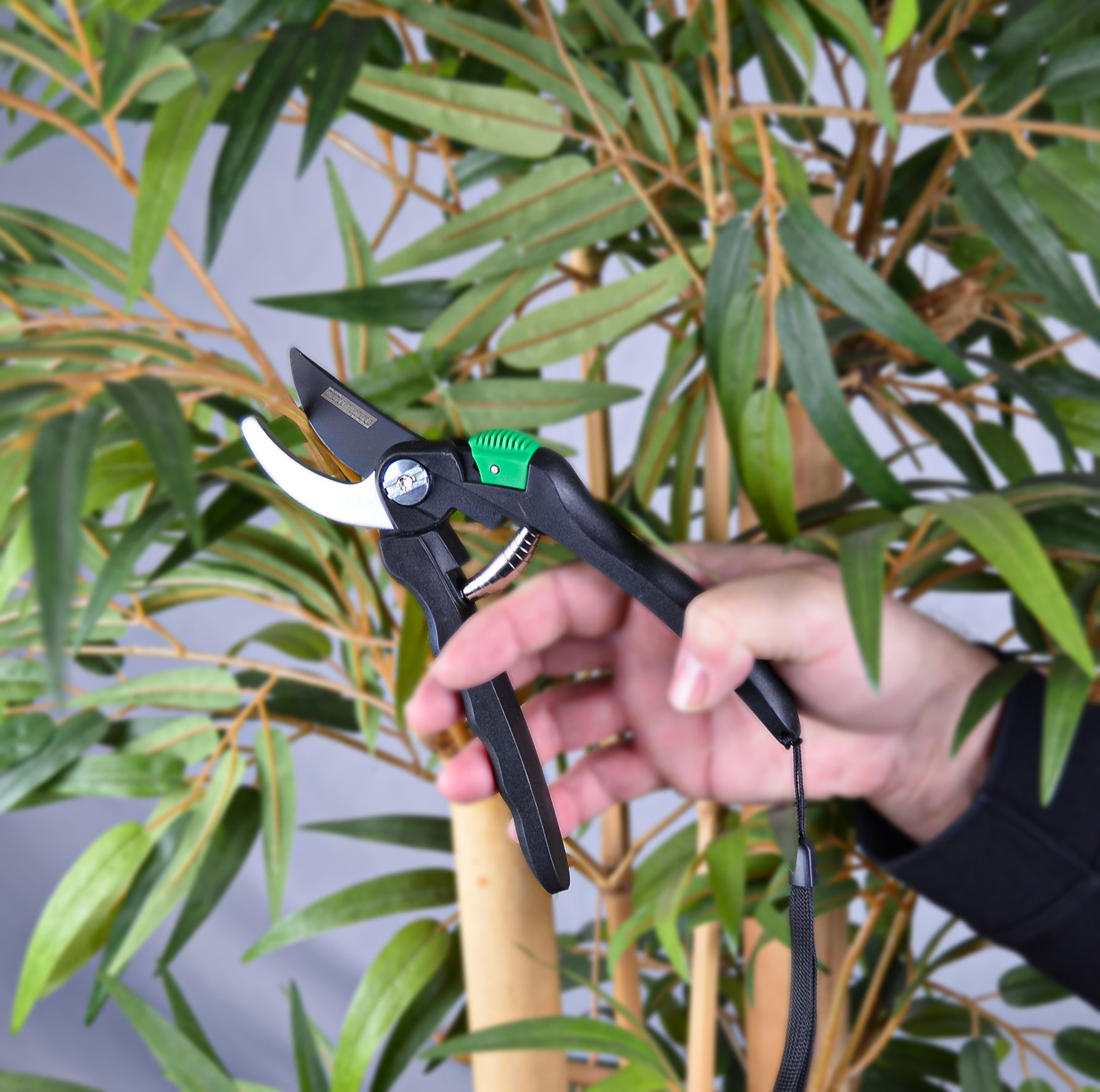 Bypass secateurs