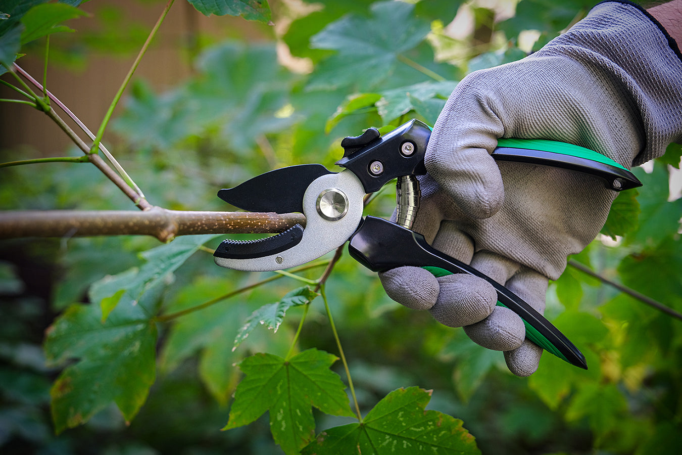 Sécateur à enclume
