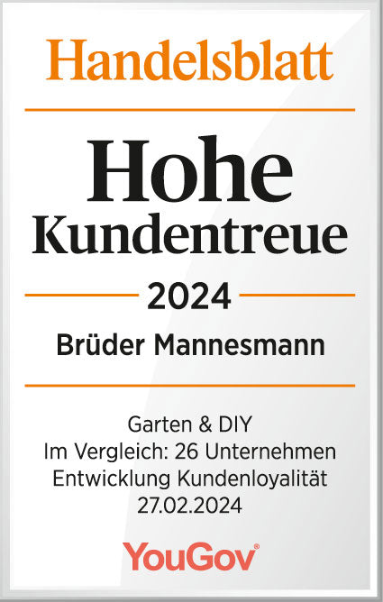 Handelsblatt Auszeichnung für Brüder Mannesmann