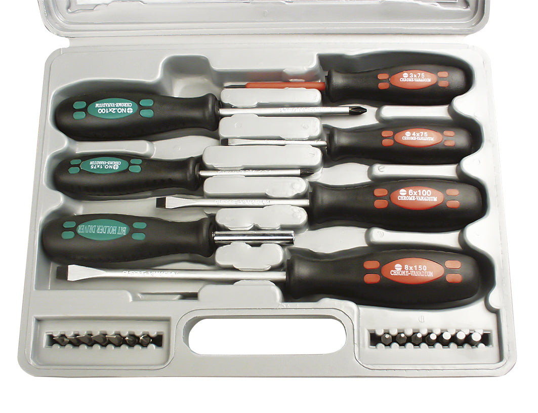 Screwdriver set 21 pieces, with bits