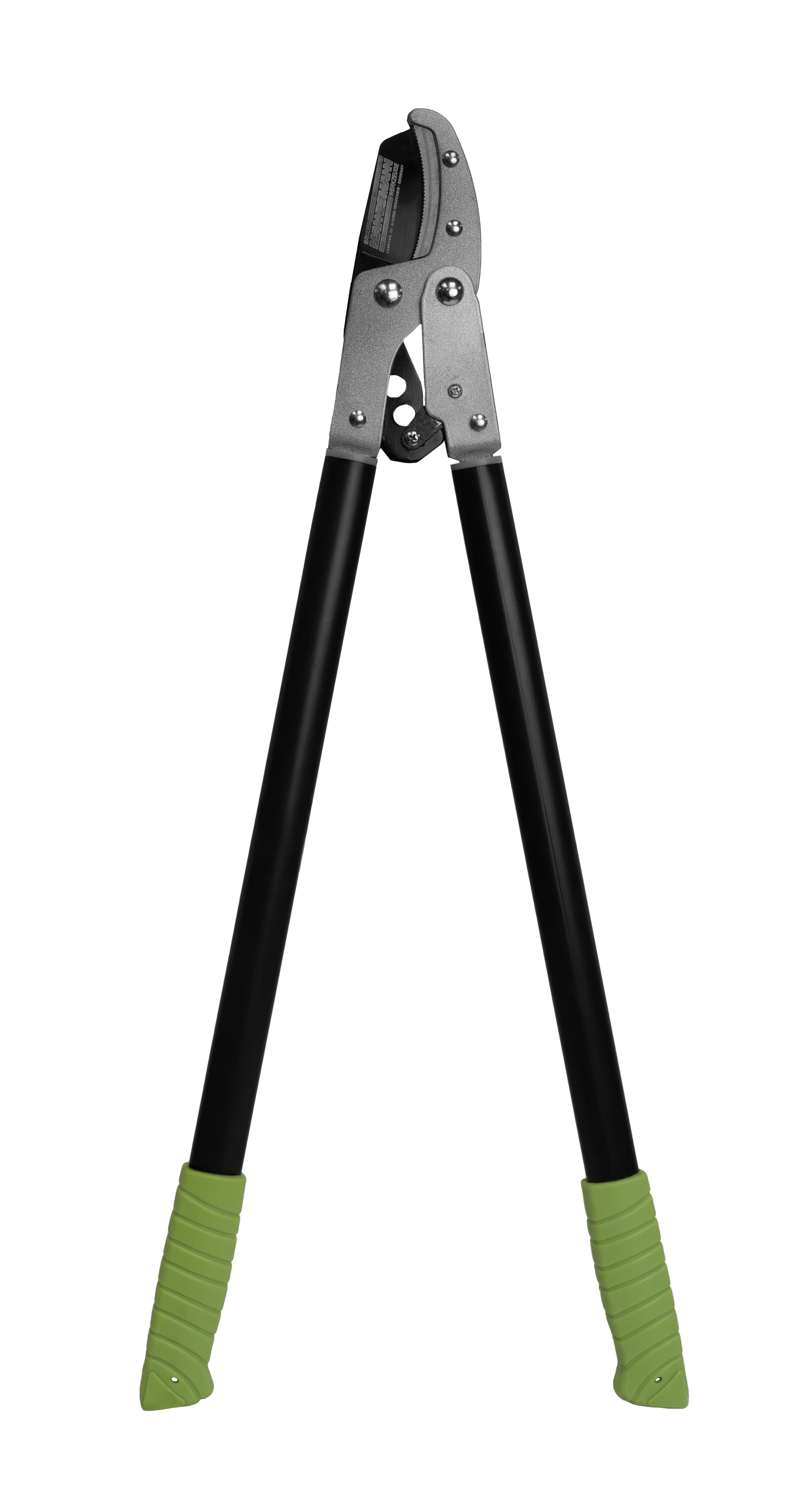 Anvil pruning shears with ratchet